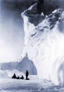 Squadra di cani a riposo durante la spedizione Terra Nova, 1910 da Herbert Ponting